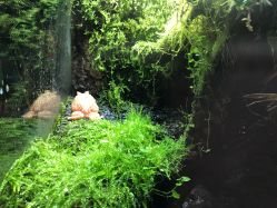 -酷嗒动物文化乐园(cutezoo西溪乐天城店)