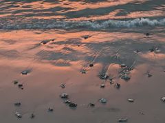 -东郊椰林