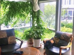-精德口腔·种植修复·儿牙中心(财富中心店)