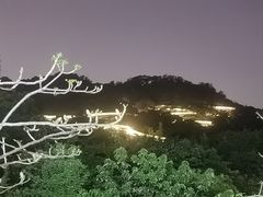 -福道