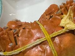 -黄记大闸蟹专卖店·活蟹·醉蟹
