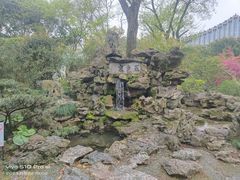 -上海醉白池公园