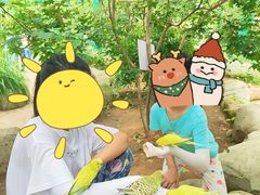 -北戴河集发农业梦想王国