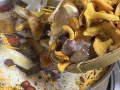 -菌极鲜野生菌火锅店(阳明祠店)
