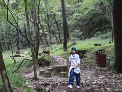 -牛背梁国家森林公园