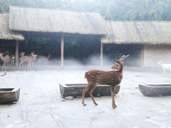 -金沙遗址博物馆