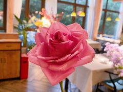 -春暖花开(西溪店)