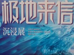 -小麦岛公园
