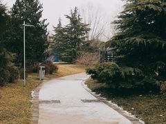 -南长河公园