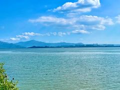 -深圳湾公园(南山区)