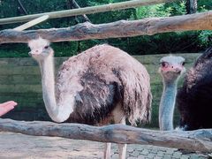 -燕塞湖鸟语林景区