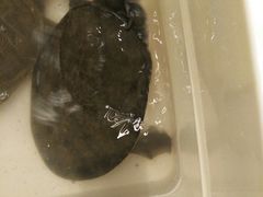 -强记打边炉(后湖怡康路店)