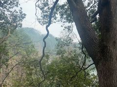 -南岳衡山风景名胜区