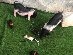 -石林冰雪海洋世界