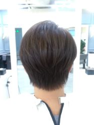 -形象公社