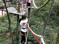 -梦幻奥陶纪景区