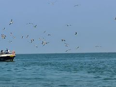 -长岛南北长山旅游景区