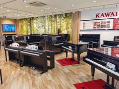 -柏斯琴行(汾阳店)