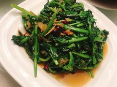 -云腾食府·云南菜