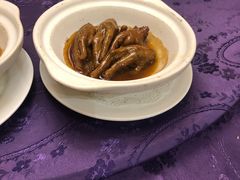 鲍汁凤爪-惠食佳·朱雀(东方商厦店)