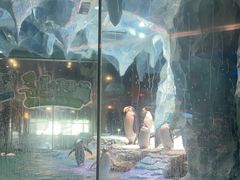 -帝企鹅自助餐厅•儿童岛•真企鹅(长隆企鹅酒店)