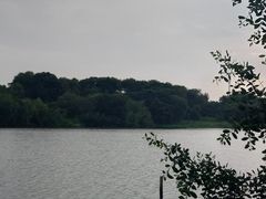 -华侨城湿地公园