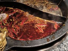 -蜀大侠火锅(总府路店)