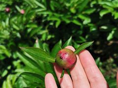 -白塘生态植物园