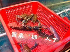 -虾胡闹·澳洲小龙虾·烧烤(福田鲨鱼店)