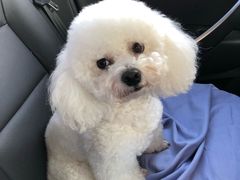-固安来康郡来康温泉