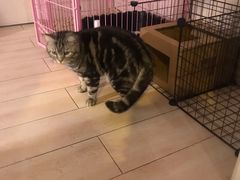 -平行世界·猫咖(首经贸店)