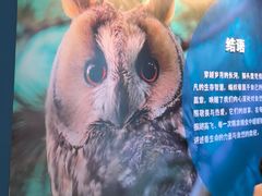 -天津自然博物馆