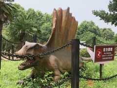 -金钉子远古世界景区