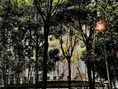 -重庆市江北嘴中央商务区中央公园