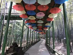 -陶祖圣境风景区