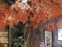 -花间别院(凤凰店)