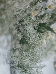 -琥珀婚礼策划AMBER WEDDING