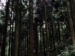 -鼓岭旅游度假区