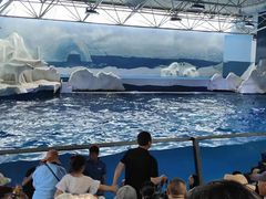 -秦皇岛乐岛海洋王国