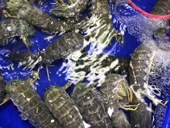 -芭提雅海鲜市场