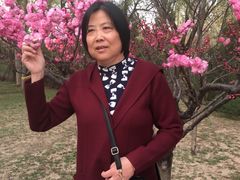 -朝阳公园游乐园