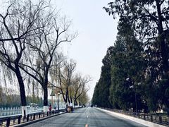 -东华门大街小区