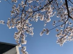 -龙美术馆(西岸馆)