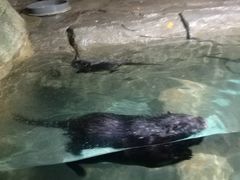-泉城欧乐堡海洋极地世界