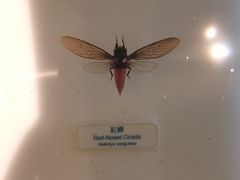 -香港科学馆