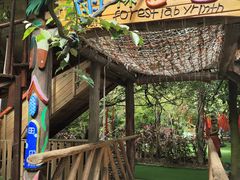 -呀路古热带植物园
