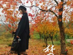 -南京市无想山景区