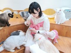 -有猫主题·治愈系猫咖(曾厝垵店)