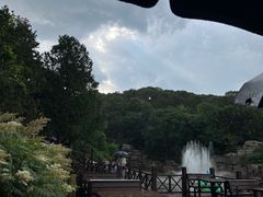 -北京西山国家森林公园