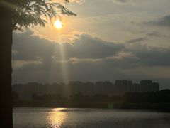 -洋湖国家湿地公园